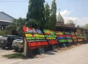 Program Bina Tani Bulog Genjot Ketahanan Pangan Nasional di Sidrap