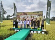 Bulog Perkuat Ketahanan Pangan Melalui Program Mitra Tani di Sidrap