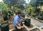 H. Zulkifli Zain, Anggota DPRD Sulsel yang Gemar Koleksi Mangga dan Budidaya Ikan