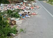 Warga Minta Pemerintah Segera Atasi Masalah Sampah di Jalan Poros Bojoe Buae