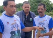 Program “Listrik Masuk Sawah” SarKanaah Menyalakan Harapan Petani Sidrap