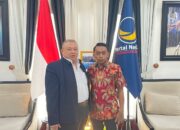 NasDem Raih Kemenangan Telak di Pilkada Sulsel, Amankan 8 Kursi Penting!