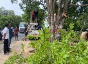 Bupati Sidrap Terpilih Terjun Langsung Tata Kota, Tunjukkan Komitmen Layani Warga