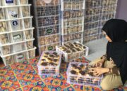 Bukti Kampus Berdampak, Mahasiswa Seni Kuliner Dapat Apresiasi atas Ide Inovatif di Minaka Cake